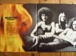 画像2: Grand Funk / Phoenix (2)