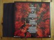 画像41: Arch Enemy / 1996 - 2017 (41)