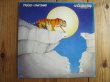 画像1: Tygers Of Pan Tang / Spellbound (1)