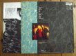 画像2: Nirvana / Nevermind (2)