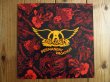 画像1: Aerosmith / Permanent Vacation (1)