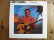 画像1: Larry Carlton / Discovery (1)