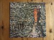 画像1: Siouxsie And The Banshees / Juju (1)