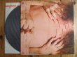 画像3: Ted Nugent / Cat Scratch Fever (3)