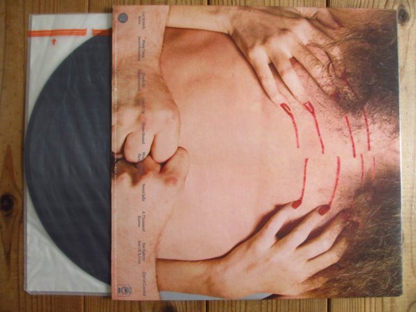 画像3: Ted Nugent / Cat Scratch Fever (3)