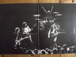 画像2: Ted Nugent / Cat Scratch Fever (2)