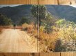 画像2: Eric Clapton / Journeyman (2)
