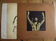 画像2: Eric Clapton / There's One In Every Crowd (2)