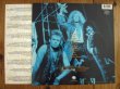 画像2: Blue Murder / Blue Murder (2)