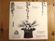 画像2: Ernie Ranglin / We Want To Party (2)
