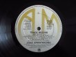 画像3: Joan Armatrading / Track Record (3)