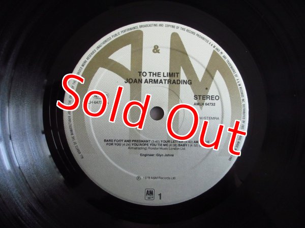 画像3: Joan Armatrading / To The Limit (3)