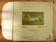 画像2: Derek Bailey, George Lewis, John Zorn / Yankees (2)