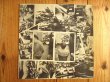 画像1: Derek Bailey / Solo Guitar (1)