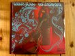 画像1: 未開封デッドストック！■Gabor Szabo / His Great Hits (1)