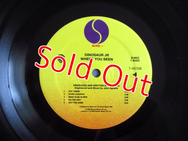 画像3: Dinosaur Jr / Where You Been (3)