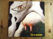 画像1: Aerosmith / Get A Grip (1)