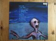 画像2: Dinosaur Jr / Where You Been (2)