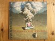 画像1: Omar Rodriguez Lopez Quintet / The Apocalypse Inside Of An Orange (1)
