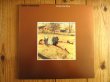 画像1: Jerry Douglas / Under The Wire (1)