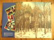 画像2: Levon Helm And The RCO All-Stars / Levon Helm And The RCO All-Stars (2)