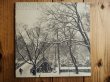 画像1: Bruce Cockburn / High Winds White Sky (1)