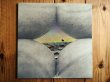 画像1: Bruce Cockburn / Salt, Sun And Time (1)