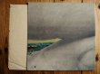 画像3: Bruce Cockburn / Salt, Sun And Time (3)