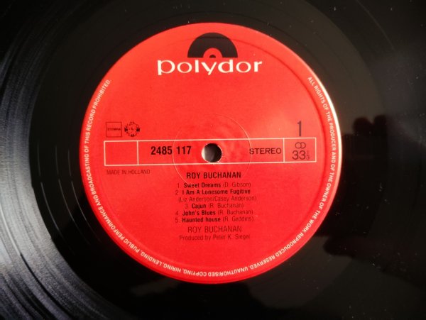 画像3: Roy Buchanan / Roy Buchanan (3)