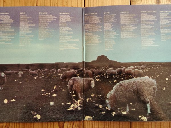 画像2: Lindisfarne / Back And Fourth (2)