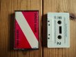 画像1: Van Halen / Diver Down (1)