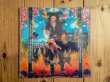 画像1: Steve Vai / Passion And Warfare (1)