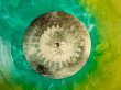 画像4: Animals As Leaders / Animals As Leaders (4)