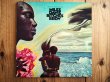 画像1: Miles Davis / Bitches Brew (1)