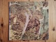 画像4: Dave Mason / Alone Together (4)