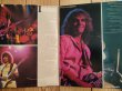画像2: Peter Frampton / Frampton Comes Alive! (2)