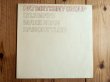 画像1: Pat Metheny Group / Pat Metheny Group (1)
