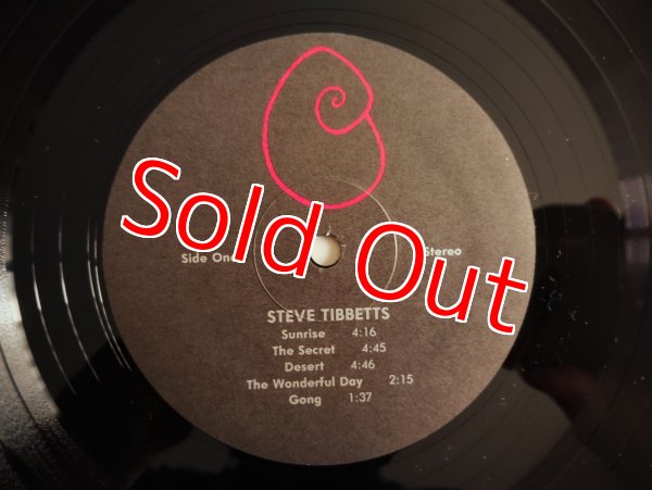 画像3: Steve Tibbetts / Steve Tibbetts (3)