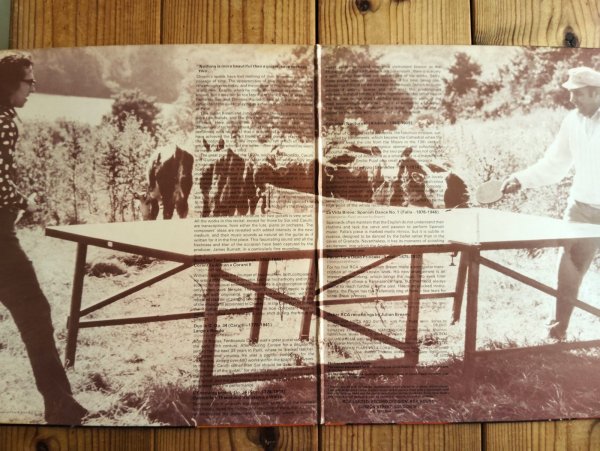 画像2: Julian Bream & John Williams / Together (2)