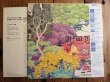 画像2: 山下和仁 & Larry Coryell  / ギター・オデッセイ 〜 四季 = The Four Seasons (2)
