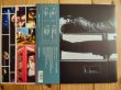 画像3: Eric Johnson / Europe Live (3)