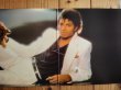 画像2: Michael Jackson / Thriller (2)