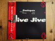 画像1: Casiopea  / Jive Jive (1)