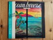 画像1: 高中正義 / Ocean Breeze (1)