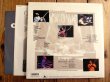 画像3: Casiopea / Casiopea Perfect Live - Live II - The 10th Anniversary Tour Final  (3)