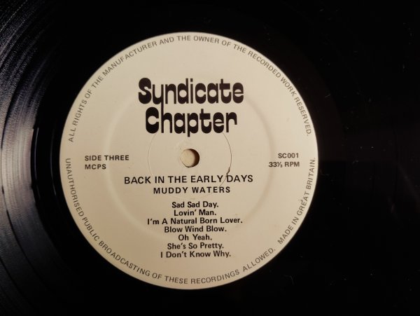 画像3: Muddy Waters / Back In The Early Days Volumes 1 And 2 (3)