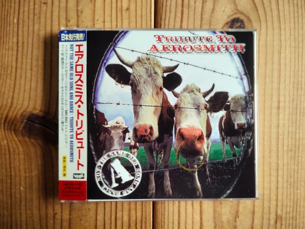 画像1: V.A. / エアロスミス・トリビュート = Tribute To Aerosmith: Not The Same Old Song And Dance (1)