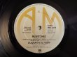 画像3: Andy Summers & Robert Fripp / Bewitched (3)