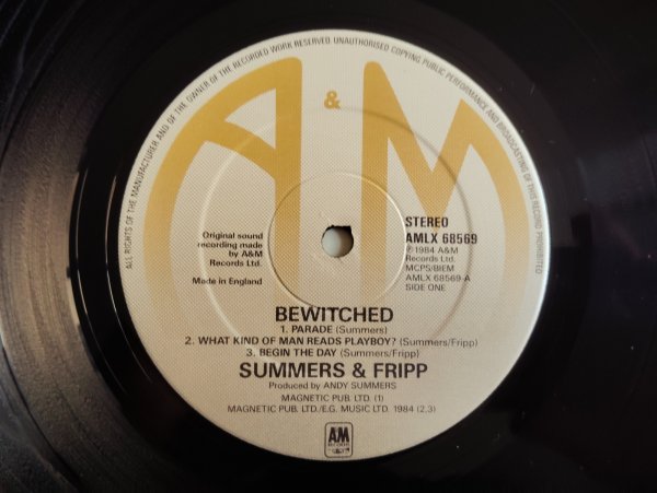 画像3: Andy Summers & Robert Fripp / Bewitched (3)