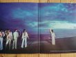 画像2: The Rolling Stones / Black And Blue (2)